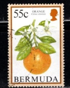 Bermuda - #676 Orange - Used