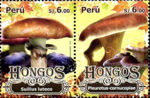 351997 MNH PERU 2010 SETAS