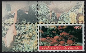 Fr. Polynesia Fish Polynesian Marine Life Corner 2003 MNH SG#957