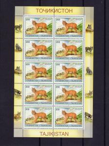 Tajikistan 1996  WWF Pallas Cats 6 Sheetlets  (60v) perforated MNH Sc # 92-97