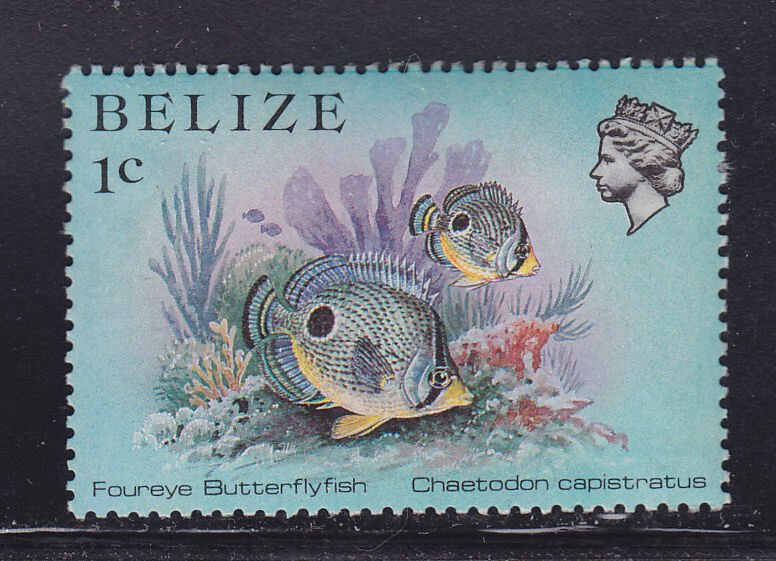 Belize 699 Fish 1984