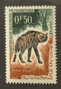 Mauritania 1963 Scott 134 MNH- 0.50fr, Native fauna, Striped Hyena