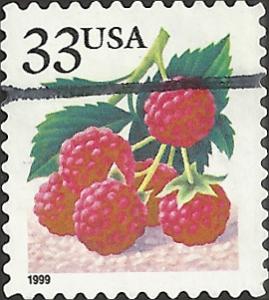 # 3295 USED RASPBERRIES