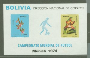 Bolivia #560b  Souvenir Sheet (Flora) (Soccer)