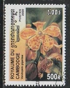 2000 Cambodia - Sc 1984 - used VF -  1 single - Orchids