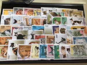 Cats from around the world stamps A6912