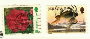 Jersey #703, 796 used Cow, Flower