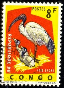 Brid, Sacred Ibis, Congo stamp SC#440 used