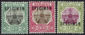 BERMUDA 1902 DRY DOCK SET SPECIMEN