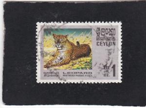 Ceylon #442 used