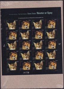 Scott #3671a (3670-71) Pet Neuter or Spay Sheet of 20 Stamps - Sealed Brown