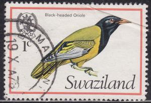 Swaziland 244 Black-Headed Oriole 1976