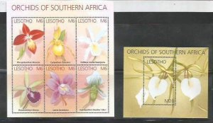 LESOTHO  - Orchids of Southern Africa - Perf 6v & Souv Sheets- Mint Never Hinged