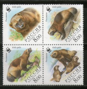 Russia 2004 WWF Wolverine Bear Wildlife Animals Fauna Sc 6857 MNH # 346