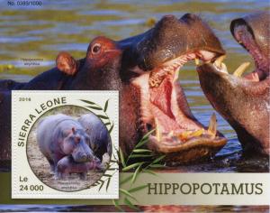 Sierra Leone Wild Animals Stamps 2016 MNH Hippopotamus Hippos Fauna 1v S/S