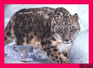 KYRGYZSTAN 2014 Nature Fauna Animals Big Cat Snow Leopard Maxicard Maximum Card
