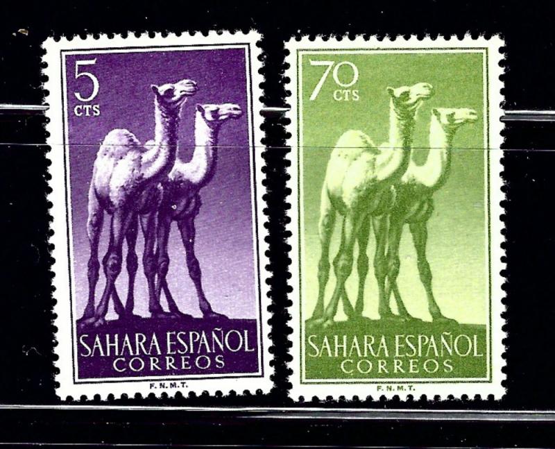 Spanish Sahara 81;84 MLH 1957 Camels