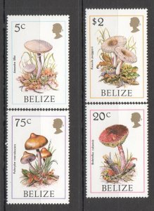 B0476 1986 Belize Flora Mushrooms 1Set Mnh