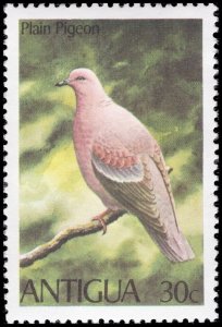 Antigua 1980 Sc 587-590 Bird Kingfisher Pigeon Carib Stilt CV $6.40