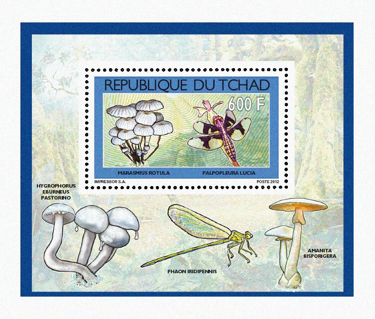 Chad 2012 Perf. Mushrooms & Insects (2) Full No. 2547 A- 2550 A - BL. 431 - 434-
