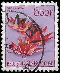 BELGIAN CONGO   #278 USED (2)