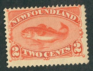 Newfoundland #48 Mint No Gum single