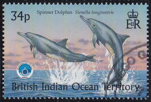 BIOT 1998 used Sc #206 34p Spinner dolphin Int'l Year of the Ocean