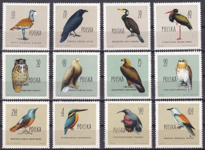 Poland, Fauna, Birds MNH / 1960