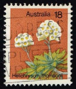 Australia #564 Helichrysum Thomsonii; Used (0.25)