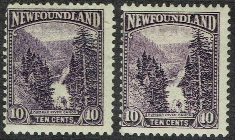 NEWFOUNDLAND 1923 PICTORIAL ISSUE 10C BOTH SHADES