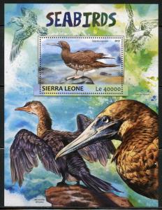 SIERRA LEONE 2017  SEA BIRDS   SOUVENIR SHEET MINT NH