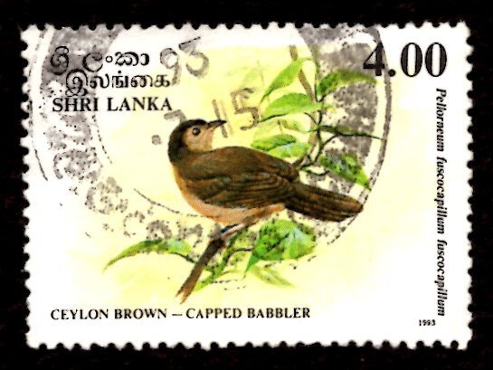 Sri Lanka 1993 Ceylon brown-capped Babbler Bird 4r Scott.1080 Used (#5)