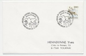 Cover / Postmark Norway 1992 Whale - Rose