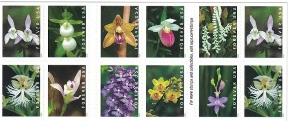 2020 Wild Orchids 5 Booklets 100pcs