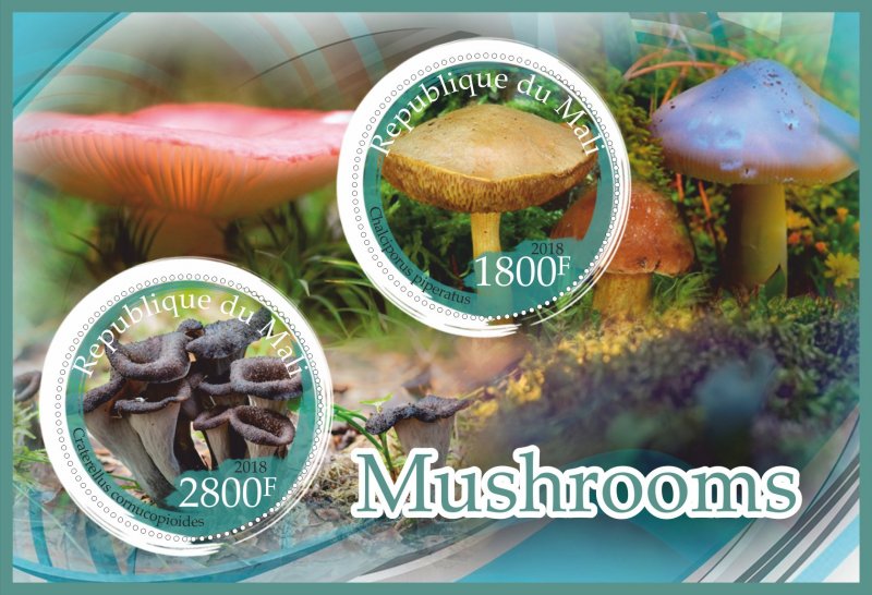 Stamps.  Mushrooms  2018 1+1 sheets perforated