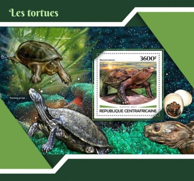 Central Africa - 2017 Turtles & Tortoises - Souvenir Sheet - CA17701b