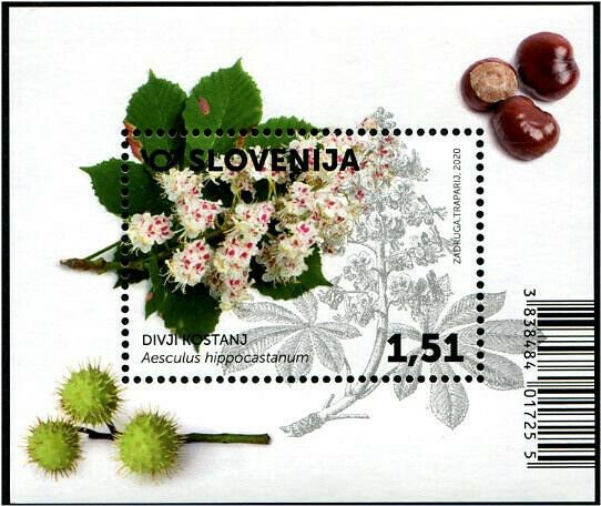 HERRICKSTAMP NEW ISSUES SLOVENIA Flora 2020 Hydrangeas S/S