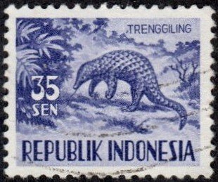 Indonesia 429 - Used - 35s Pangolin (1956)