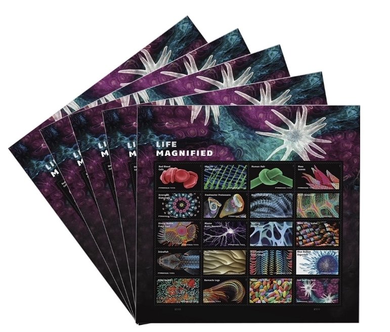 Life Magnified  forever stamps  5 sheets of 20PCS, total 100pcs