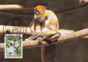 Honduras 1990 Maxicard Sc #C789 10c Geoffroy's spider monkey WWF