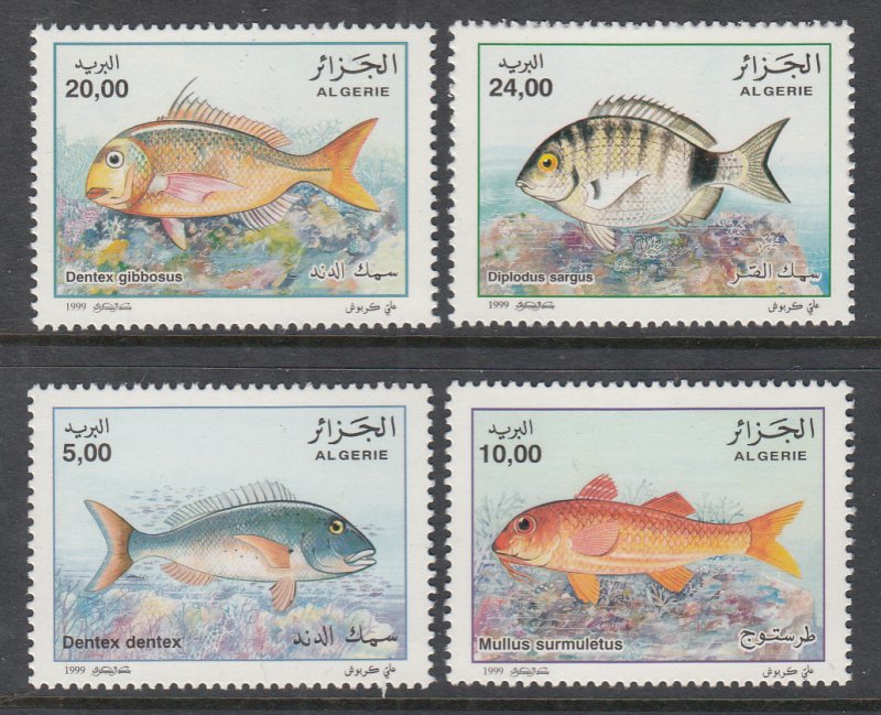 Algeria 1161-1164 Fish MNH VF