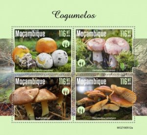 Mozambique - 2019 Mushrooms on Stamps - 4 Stamp Sheet - MOZ190512a