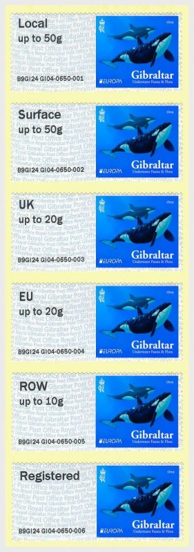 Gibraltar - Postfris/MNH - Complete set Europa, Post & Go 2024