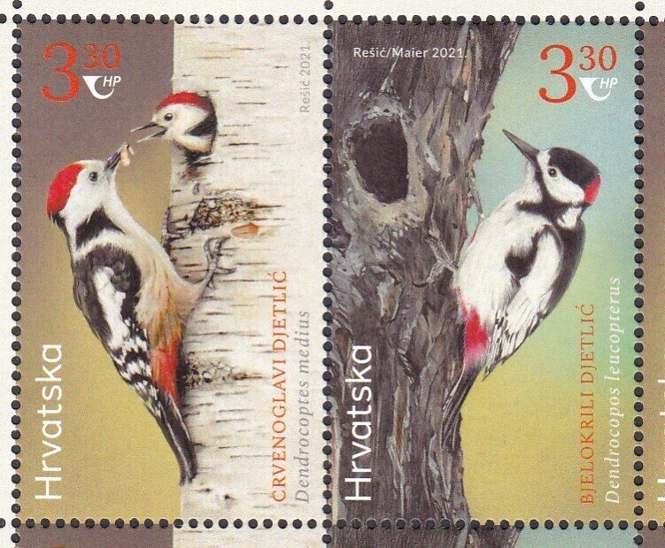 Croatia, Fauna, Birds MNH / 2021