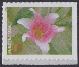 US 5558-5567 Garden Beauty forever set (10 stamps) MNH 2021