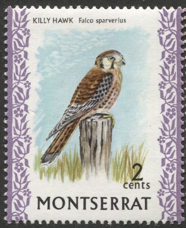 MONTSERRAT 1970  Sc 232  MNH, VF, Bird Killy Hawk