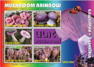 BASHKIRIA RUSSIA LOCAL SHEET MUSHROOMS 