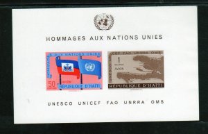 HAITI #C135a 1958 FLAGS OF HAITI & U.N MINT VF NH O.G IMPERF. S/S