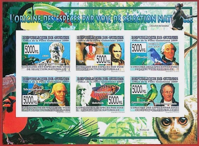 FRENCH GUINEA - ERROR, 2009 IMPERF SHEET: Marine Life, Birds, Monkeys, Animals