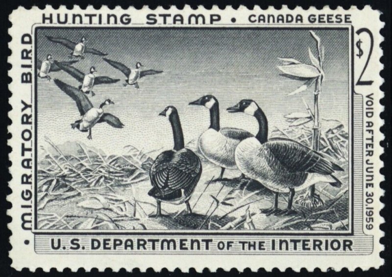 RW25, Mint VF NH $2 Duck Stamp * Stuart Katz